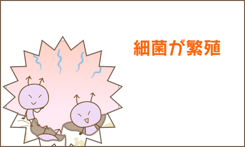 妊婦健診 高崎市スマイル歯科クリニック