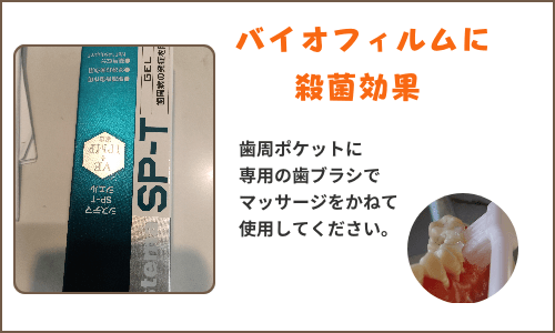 ライオン SPT