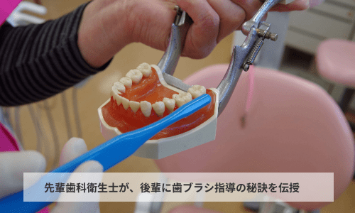 歯ブラシ指導