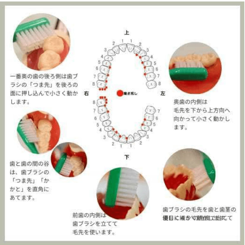 歯ブラシの当て方